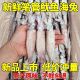 海兔子新鲜籽乌笔管鱼鱿鱼仔鲜活冷冻墨鱼八爪鱼乌贼无冰海鲜水产