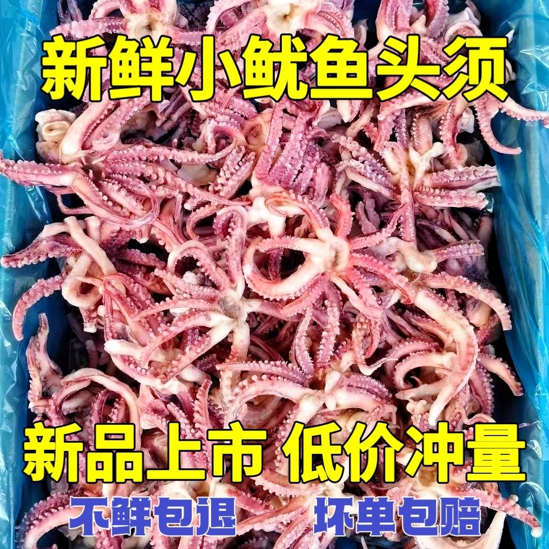 小鱿鱼头须新鲜冷冻鱿鱼头小八爪须鱿鱼爪鱿鱼须烧烤炒菜火锅食材