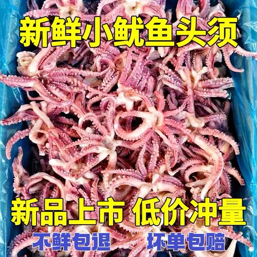 小鱿鱼头须新鲜冷冻鱿鱼头小八爪须鱿鱼爪鱿鱼须烧烤炒菜火锅食材