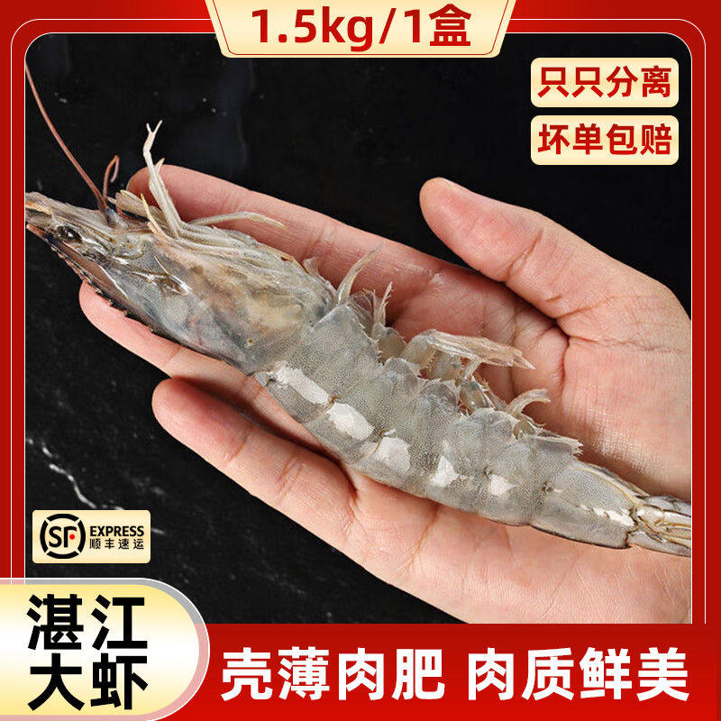 MC广东湛江大虾特大号海捕虾白虾鲜活冷冻海鲜水产基围虾海虾批发