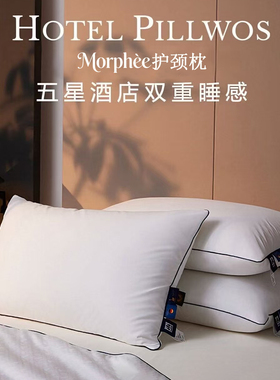 德国95白鹅绒护颈枕成人颈椎专用枕头护颈椎助睡眠可水洗抗菌枕芯