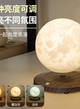高科技磁悬浮自动升降月球地球仪小夜灯卧室床头台灯礼物高级感气