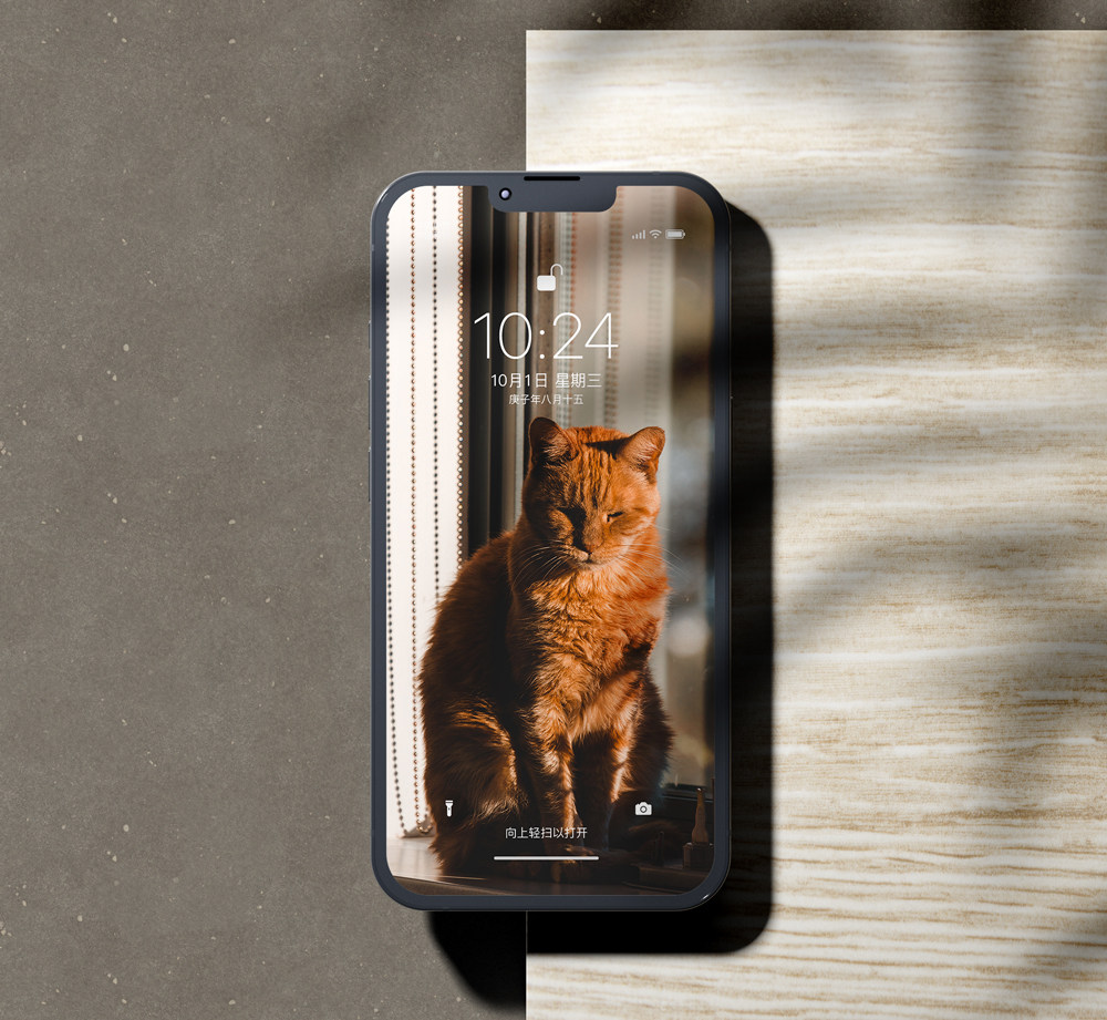 「金丝虎」wallpaper station苹果手机壁纸墙纸摄影壁纸(1张)