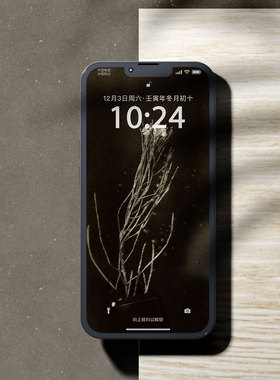 「沉沦」系列Wallpaper station iPhone 苹果手机壁纸桌面「4张」