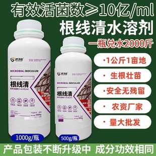 根线清结虫专用药紫孢菌微生物菌剂土壤调理菌肥根腐重茬净软腐病