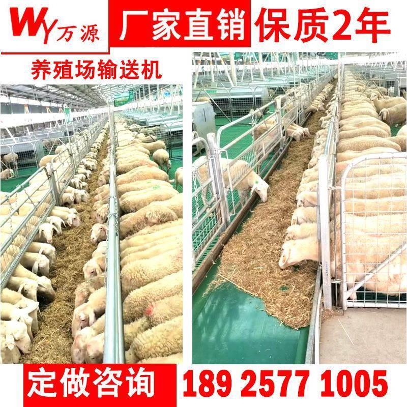 养殖场羊槽输送机羊牛喂养自动输送饲料传送带清粪爬坡皮带流水线