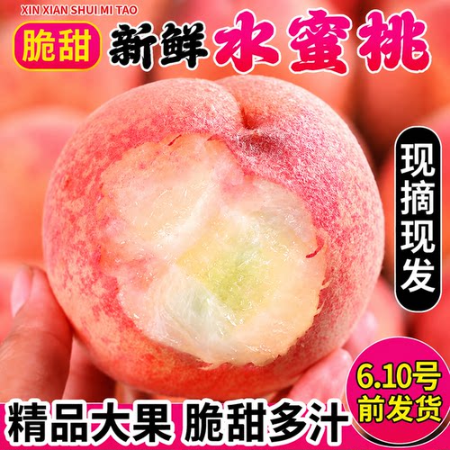 正宗水蜜桃5斤新鲜水果毛桃头茬现摘桃子孕妇当季脆密桃整箱包邮