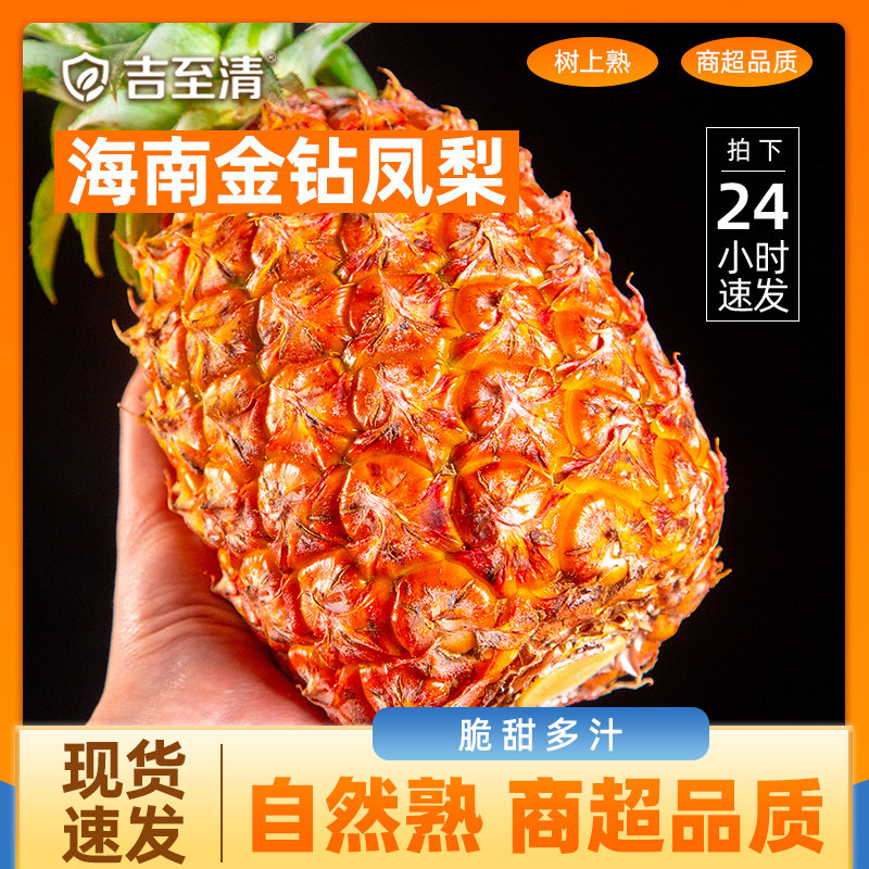 海南金钻凤梨新鲜水果9斤当季粉色风梨香水菠萝特产大果无眼整箱