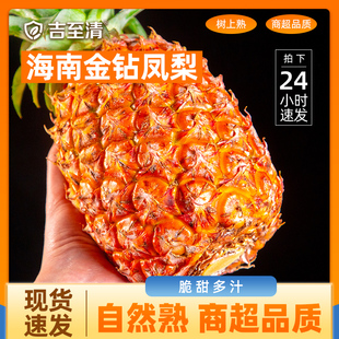 海南金钻凤梨新鲜水果9斤当季粉色风梨香水菠萝特产大果无眼整箱