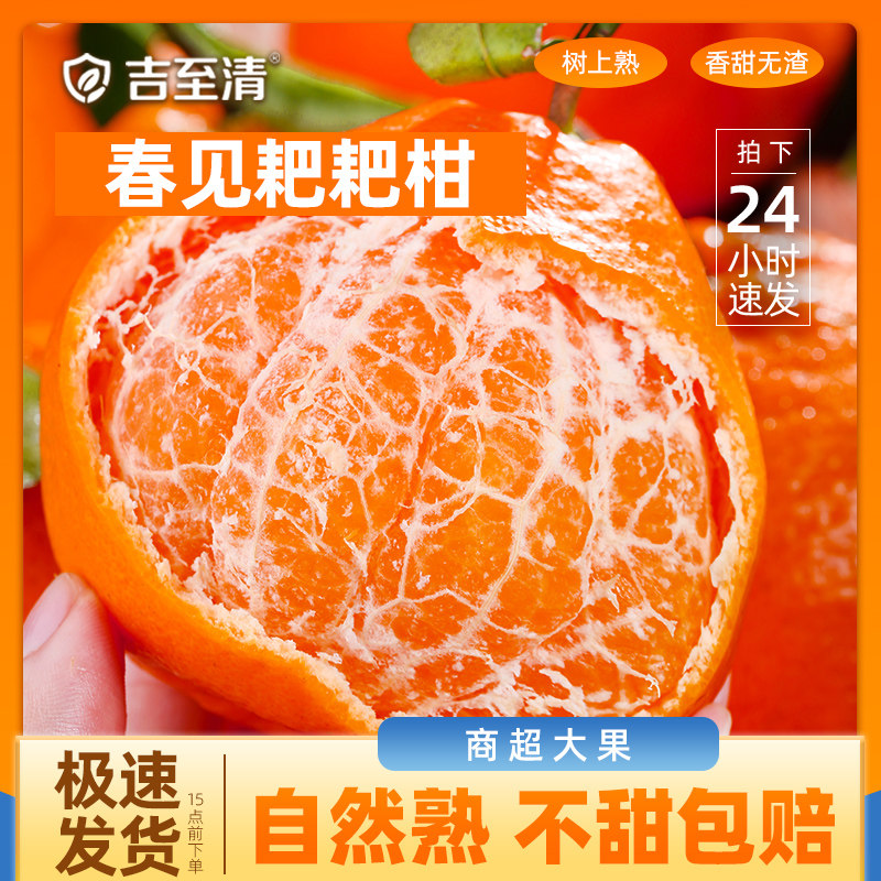 四川春见耙耙柑粑粑柑杷杷柑橘子当季整箱新鲜水果丑柑桔橘旗舰店,水产肉类/新鲜蔬果/熟食,桔子,淘宝优惠券,粉丝福利购,淘宝优惠卷
