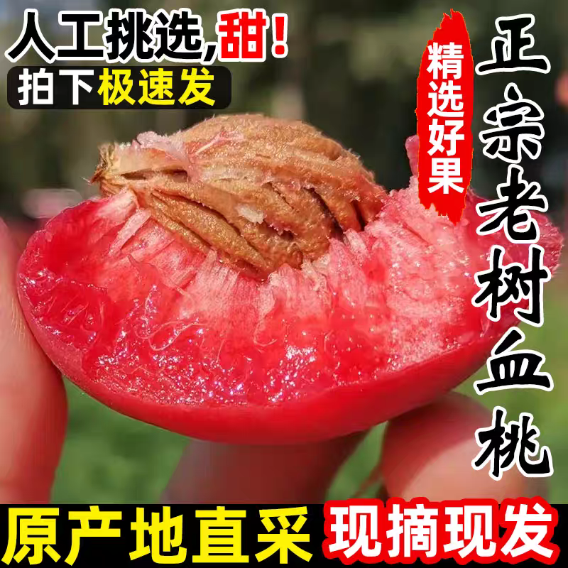正宗血桃现摘现发当季新鲜红心红肉离核脆甜毛桃孕妇水果整箱包邮