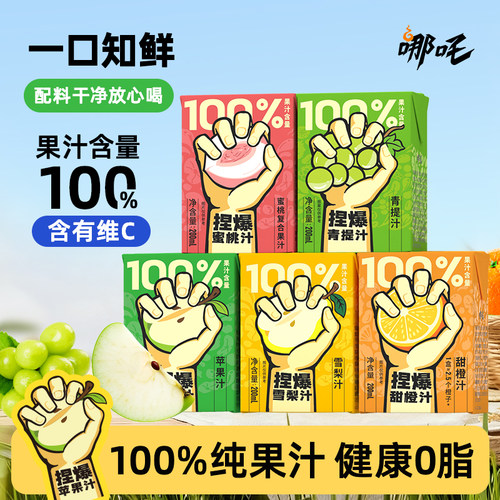 【万人疯抢】100%水果汁网红饮料