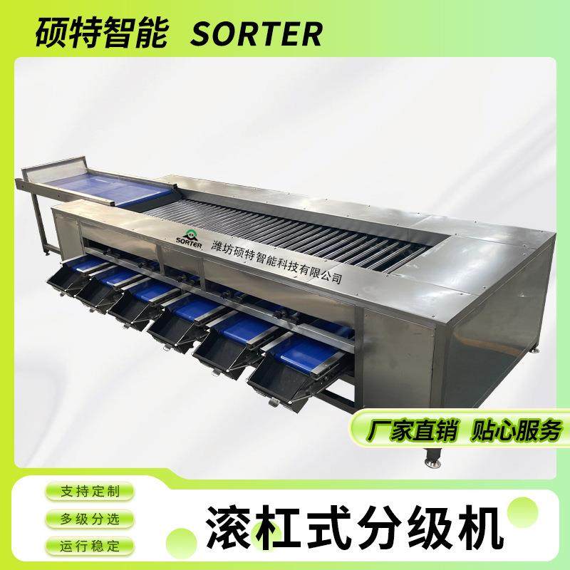 圣女果辊杠式大小分选机 蜜橘直径分级机 和田枣金桔筛选机,清洗/食品/商业设备,肉制品加工设备,淘宝优惠券,粉丝福利购,淘宝优惠卷