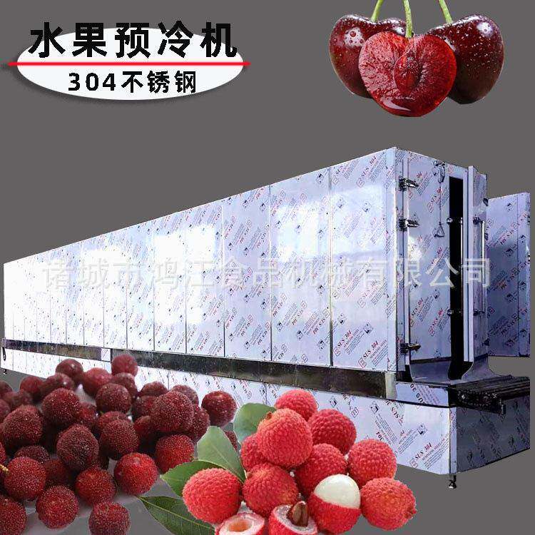 水果预冷机 整筐水果连续式降温流水线 樱桃蓝莓隧道降温机大型