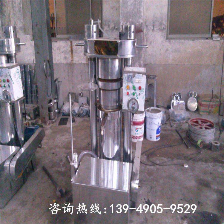 家用小型螺旋冷热榨油机 食用油专用榨油机 全自动液压榨油机
