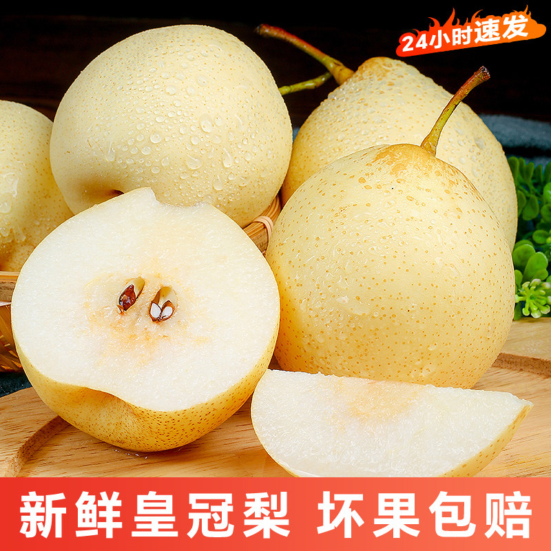 河北皇冠梨5斤梨子新鲜当季水果酥脆梨砀山白梨黄金梨整箱包邮
