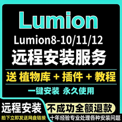 Lumion12pro/11/10/9/8/6/软件中文版远程安装服务插件素材包教程