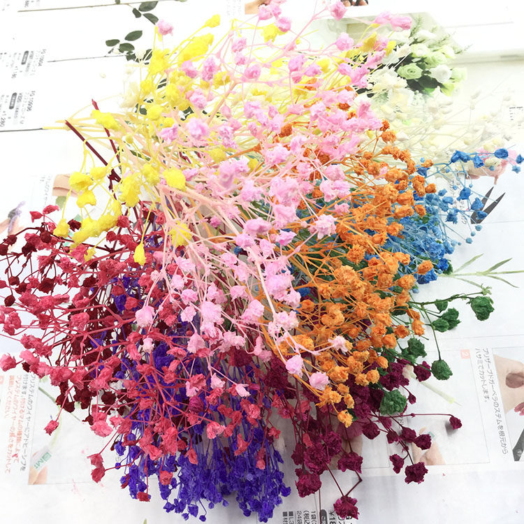 永生花满天星diy材料包大颗白万星手工制作玻璃罩花束礼盒车挂件
