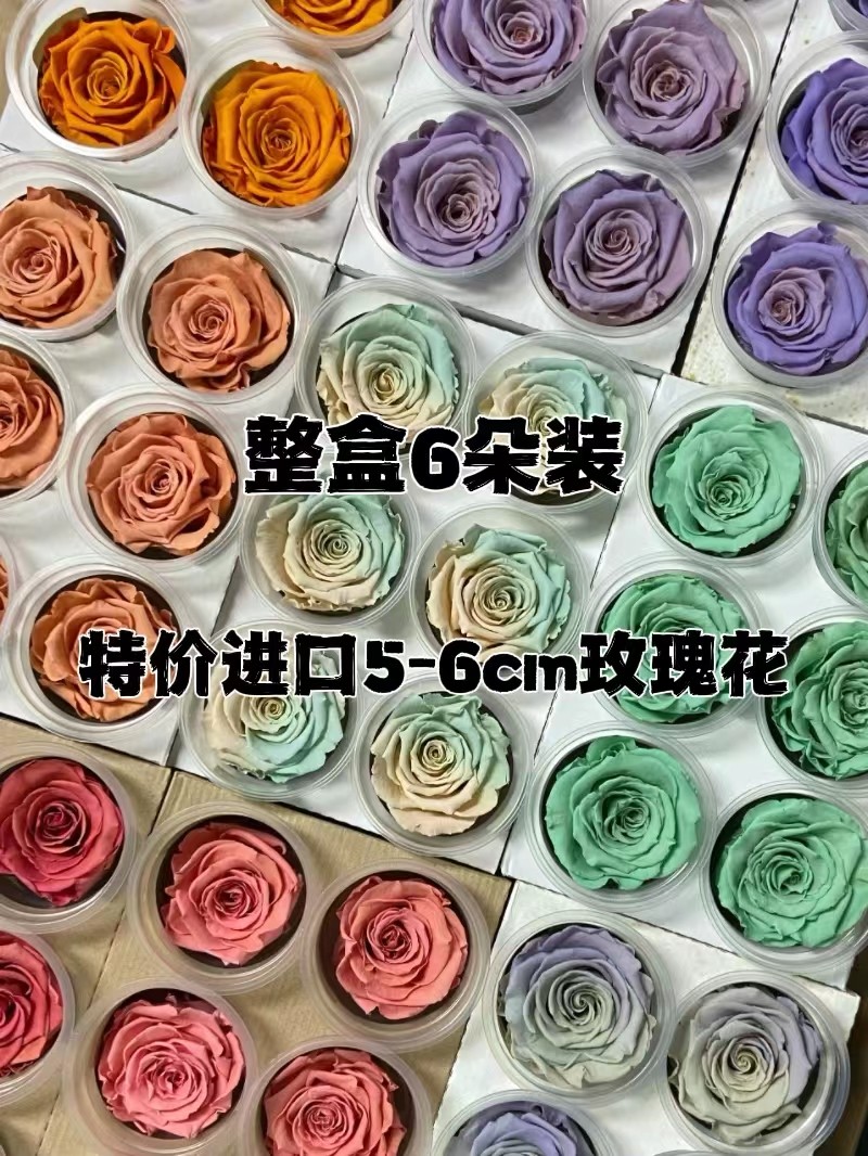 进口厄瓜多尔Roseamor永生花5-6cm玫瑰教师节520花束礼物抱抱桶