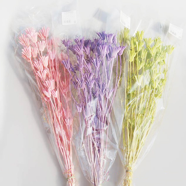 进口大地农园八角花玲花木槿花材教师节diy永生花干花玫瑰配材