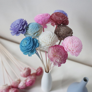 DIY无火香薰通草干花索拉花无心菊康乃馨家居装饰摆件手工仿真花