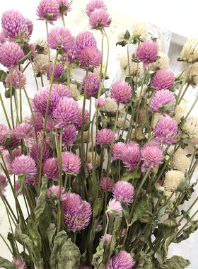 永生花干花千日红diy手工香薰蜡