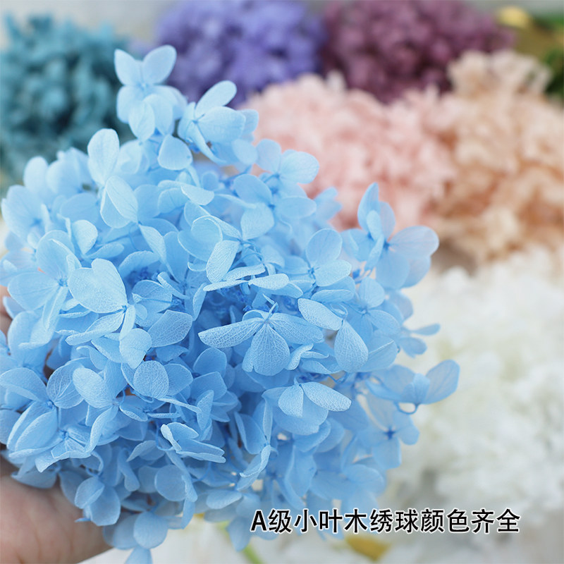 Diy暴力熊永生花球衣框绣球花瓣