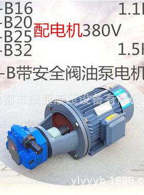 BB-B4YJ 带B-B6YZJZ BB-BBBB-B10YJZ摆线齿轮油泵安全调压阀电机