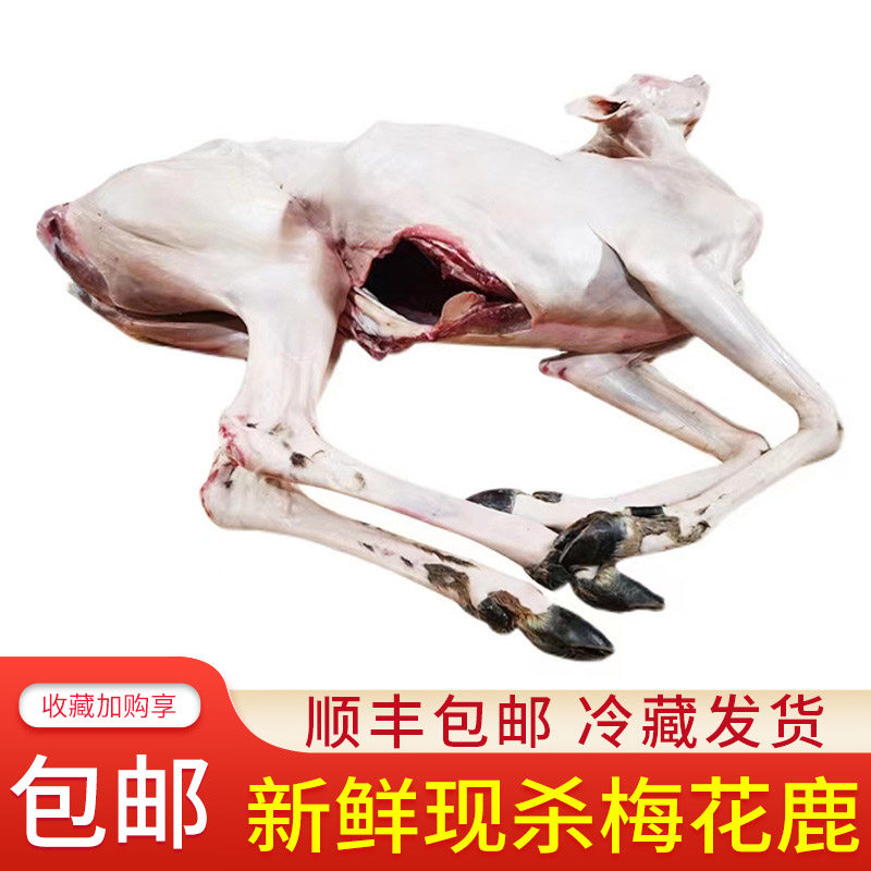 吉林双阳梅花鹿白条整只半只30斤鲜鹿肉顺丰包邮