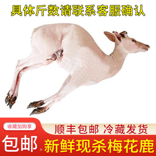 东北吉林梅花鹿带皮现杀
