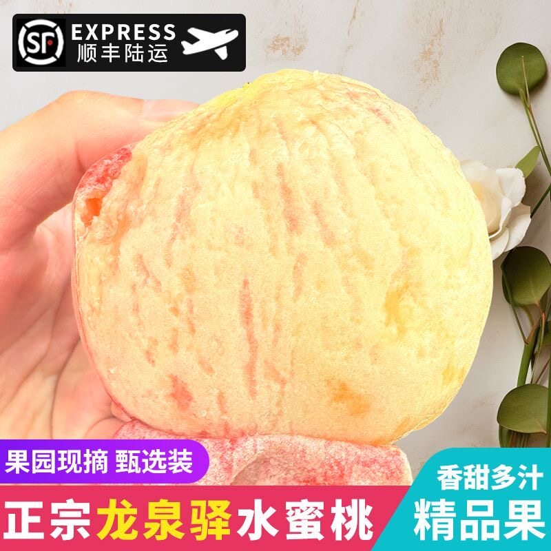 正宗成都龙泉驿水蜜桃软桃超甜桃子新鲜现摘当季孕妇水果可撕皮桃