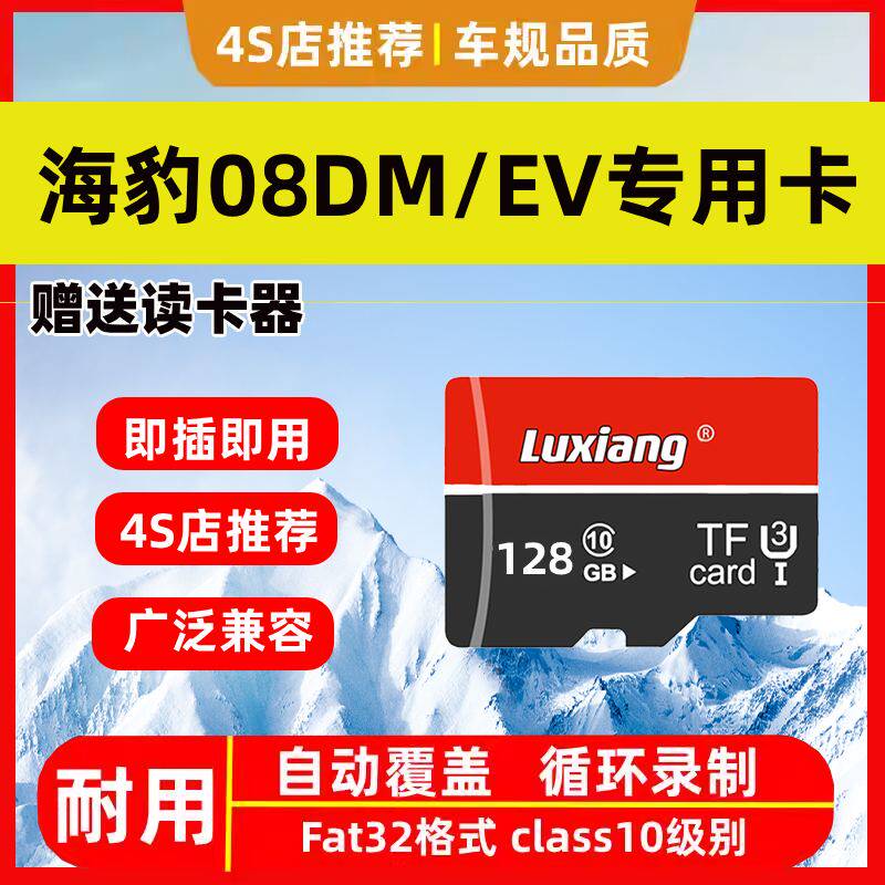 比亚迪海豹08EV行车记录仪专用内存卡海豹08Dmi哨兵存储卡tf卡sd