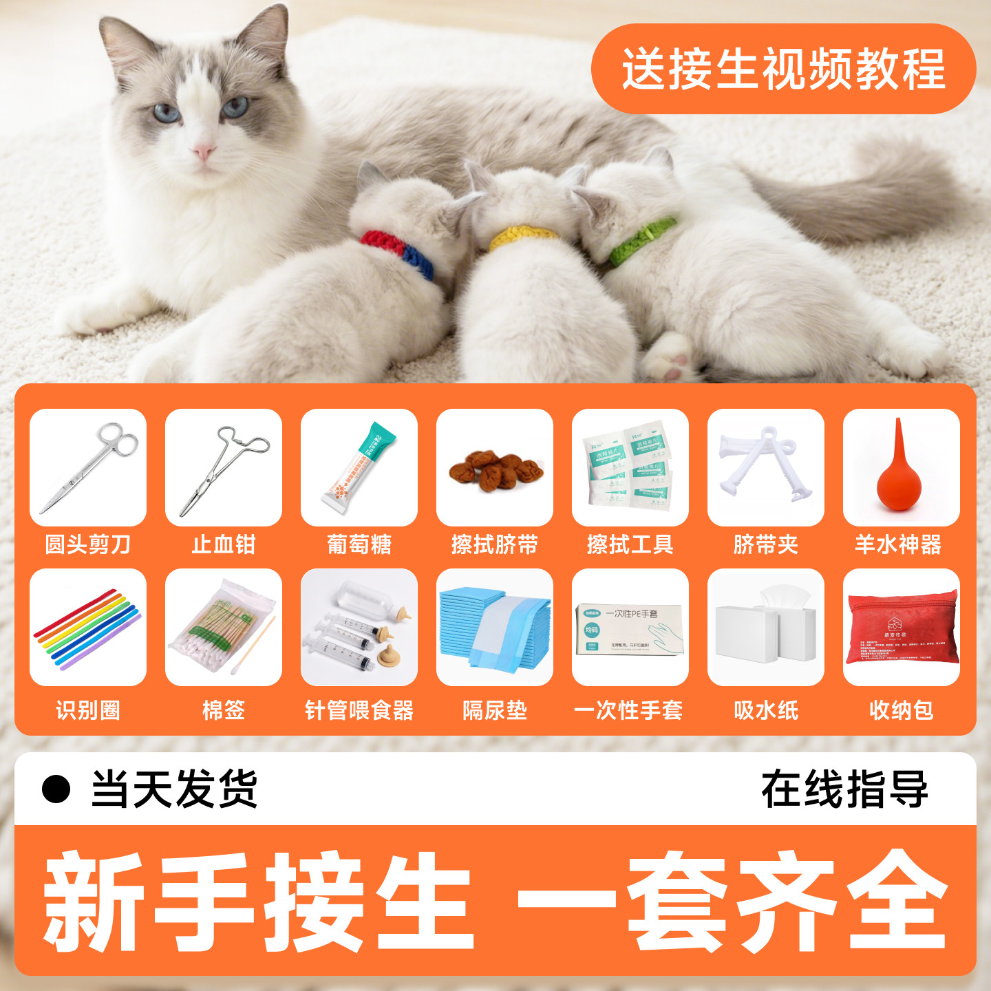 猫咪生产用品全套狗狗接生工具宠物待产包孕猫产房备产包怀孕生育,宠物/宠物食品及用品,猫窝/屋/帐篷/沙发,淘宝优惠券,粉丝福利购,淘宝优惠卷