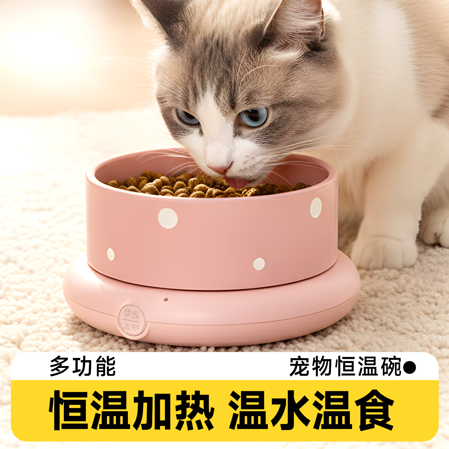 饮水机恒温冬天加热喝水器