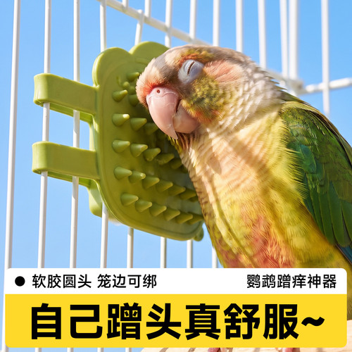 鹦鹉蹭痒神器软胶解闷玩具适用