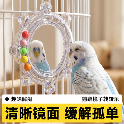 鹦鹉镜子趣味转转乐玩耍旋转发声