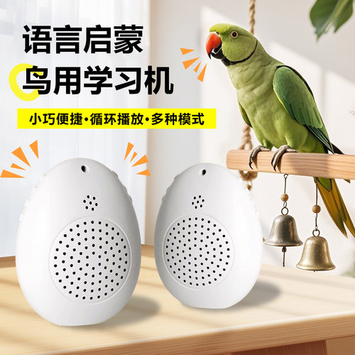 八哥学说话机鹦鹉玩具教小鸟说话神器新型复读机训练器学习机道具