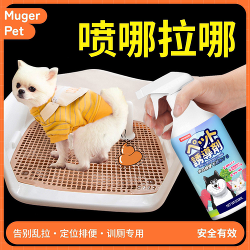 狗狗定点上厕所神器排便拉屎