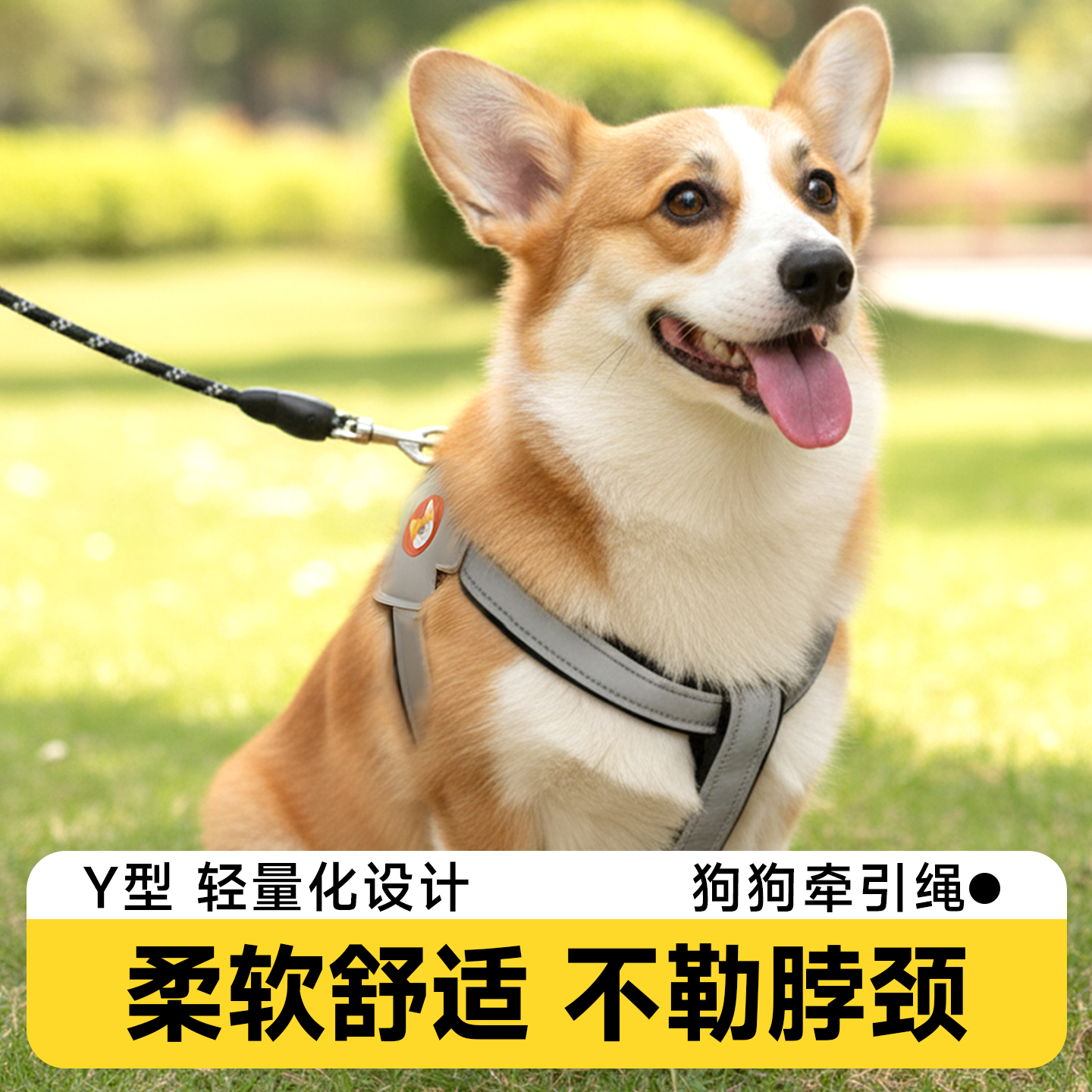 小中型犬遛狗背带式防咬断扣环