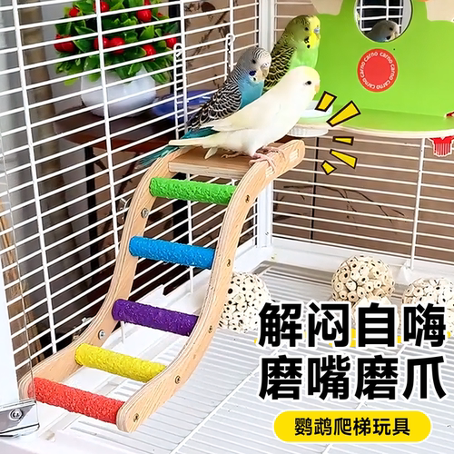 鹦鹉云梯鸟笼攀爬玩具小鸟虎皮磨爪棒爬架玄凤逗鸟笼配件专用楼梯