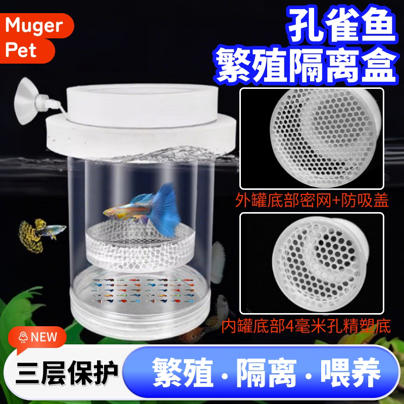 孔雀鱼隔离繁殖盒鱼缸内隔离网鱼苗孵化盒迷你鹦鹉鱼生鱼分离器母