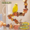 鹦鹉啃咬玩具小太阳天然解闷自嗨逗鸟架玄凤虎皮专用磨牙鸟笼站杆
