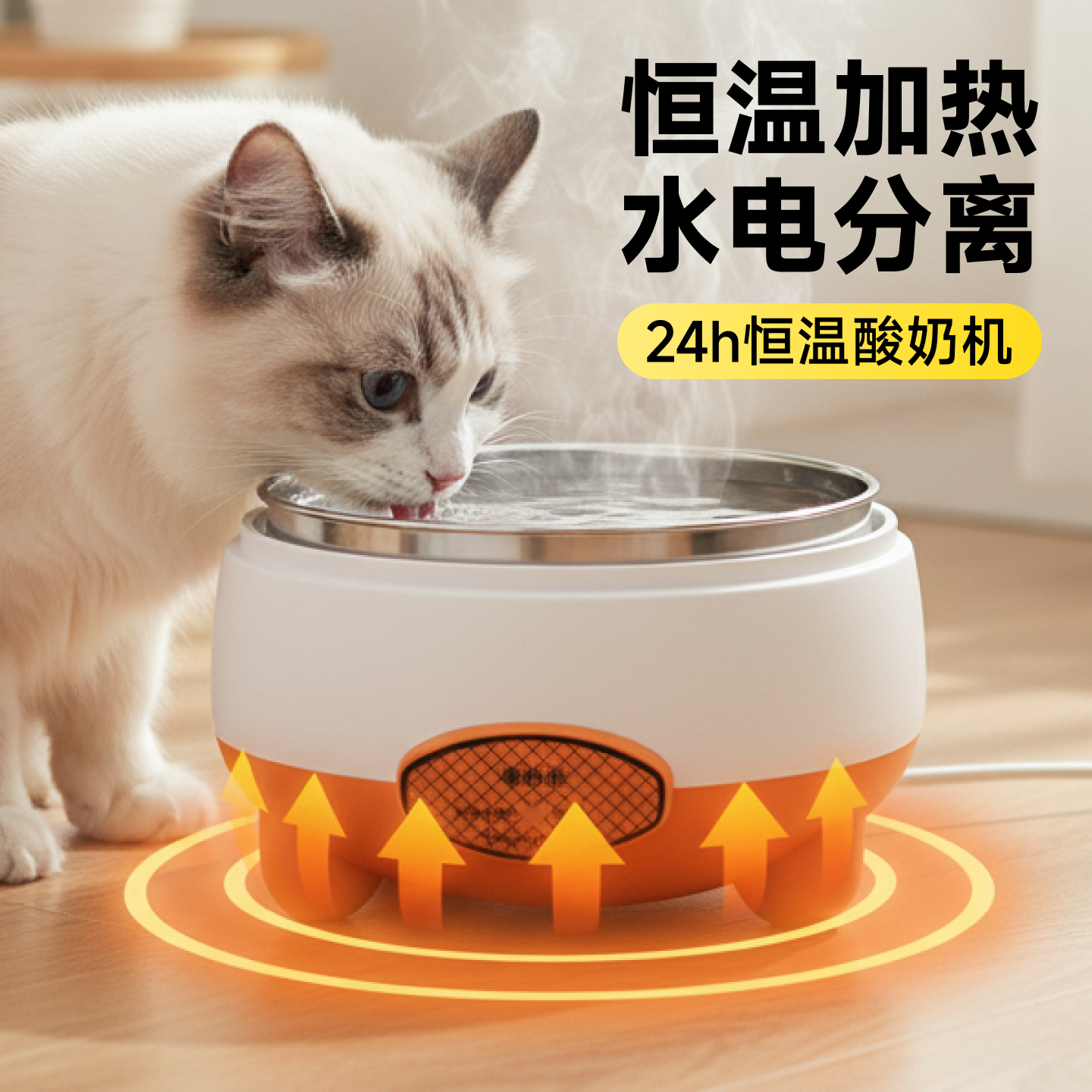 喝水恒温自动饮水器喂水机