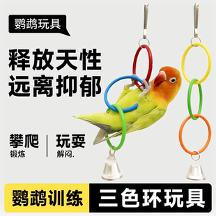 鸚鵡秋千吊環(huán)虎皮小太陽彩虹攀爬玩具小鳥玄鳳專用小型鳥籠配件