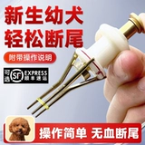 Артифакт-артефакт Dog Corgi Special Pet Special Rubber Band маленькая собачья щенка, разрушающая кожаная лента