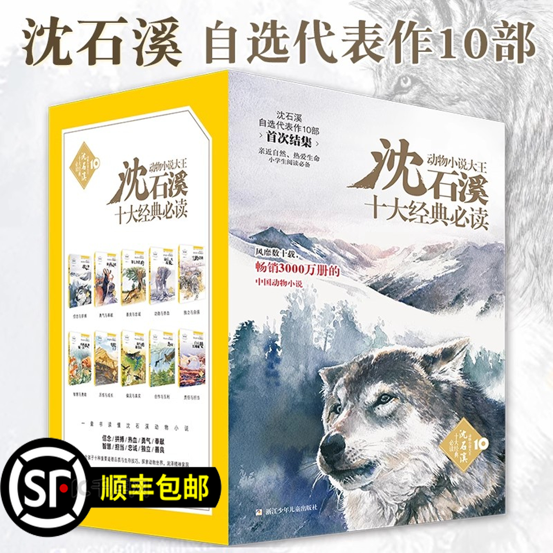 沈石溪十大经典必读丛书全套10册