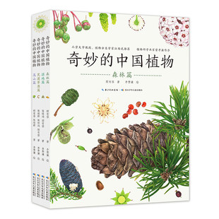 奇妙的中国植物（全4册）200种中国植物的自然课，饱览植物之美的收藏级绘本；中科院植物学博士顾有容主笔，国内植物画者李赞谦