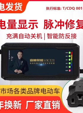 立马电动车充电器48V12AH60V20AH72V32AH两针3针公插反接通用原装