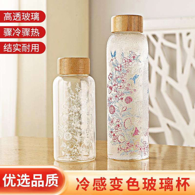 变色玻璃乐品乐茶550大容量高硼硅温变玻璃冷泡杯男女泡茶ins水杯
