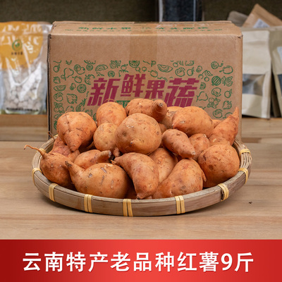 云南高原蜜薯灰薯番薯9斤3斤新鲜无农残认证可生食清甜脆产地直发